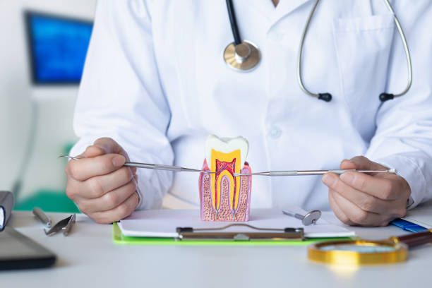 Best Emergency Denture Repair in Fairfield, CA